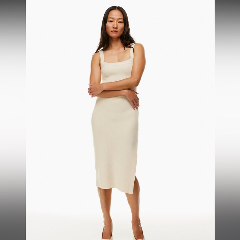 Aritzia Babaton Chase Dress